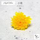 大地農園「小菊 イエロー 1輪」プリザーブドフラワー プリザ ハーバリウム 小花 ドライフラワー ハーバリウム アロマワックスバー