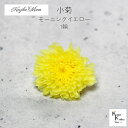大地農園「小菊 モーニングイエロー 1輪」プリザーブドフラワー プリザ ハーバリウム 小花 ドライフラワー ハーバリウム アロマワックスバー