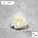 大地農園「小菊 白 1輪」プリザーブドフラワー プリザ ハーバリウム 小花 ドライフラワー ハーバリウム アロマワックスバー