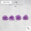 大地農園「小菊 スウィートライラック 4輪」プリザーブドフラワー プリザ ハーバリウム 小花 ドライフラワー ハーバリウム アロマワックスバー(4)
