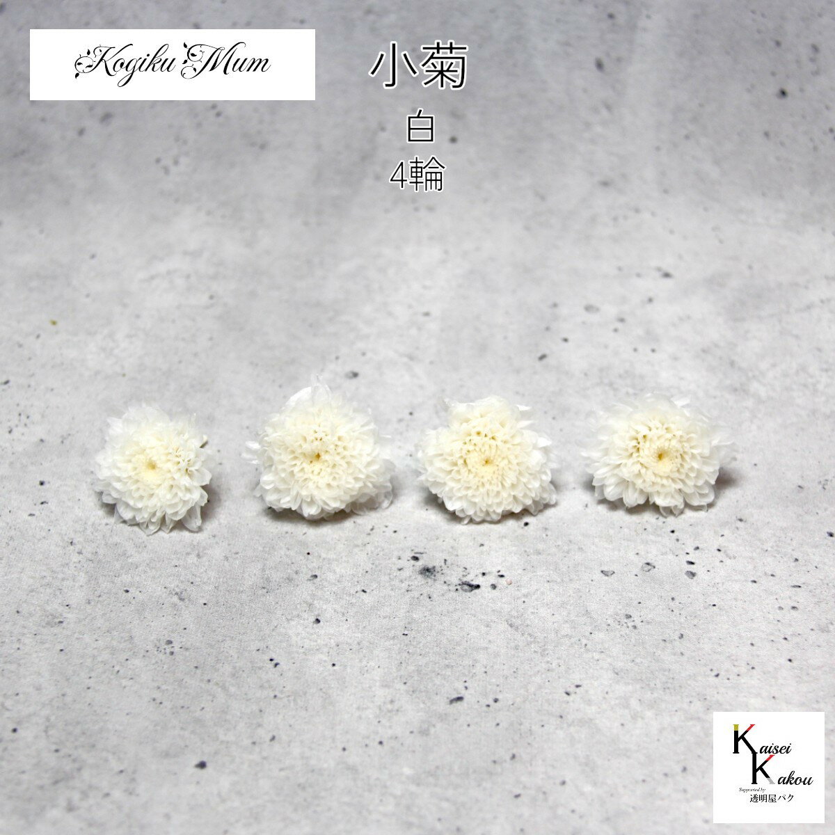 大地農園「小菊 白 4輪」プリザーブドフラワー　プリザ　ハーバリウム　小花 ドライフラワー ハーバリ..
