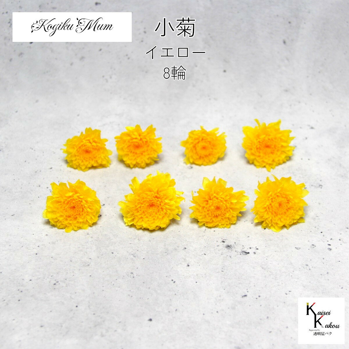 大地農園「小菊 イエロー 8輪」プリザーブドフラワー　プリザ　ハーバリウム　小花 ドライフラワー ハ..