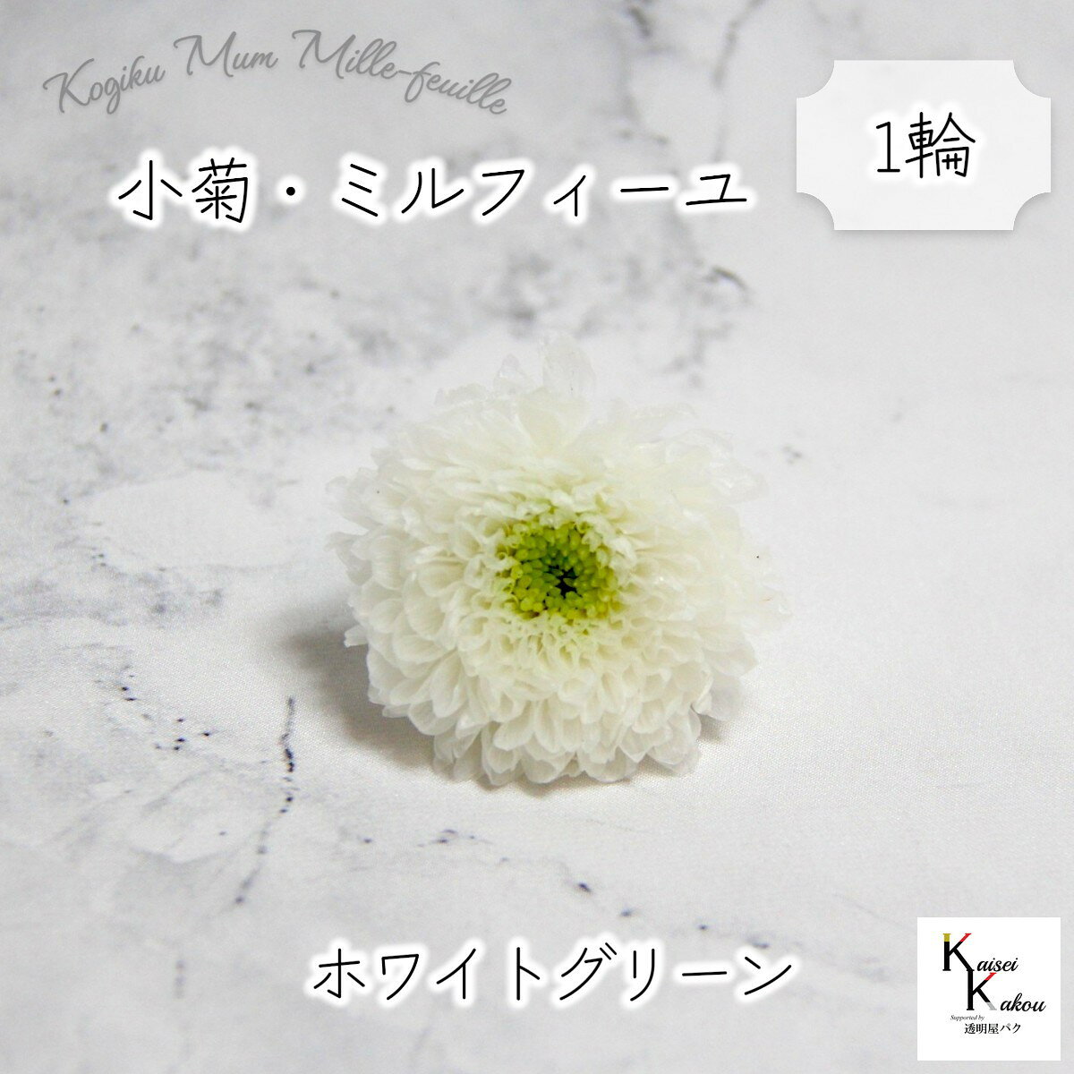 大地農園「小菊ミルフィーユ ホワイトグリーン 1輪」プリザーブドフラワー　プリザ　ハーバリウム　小..