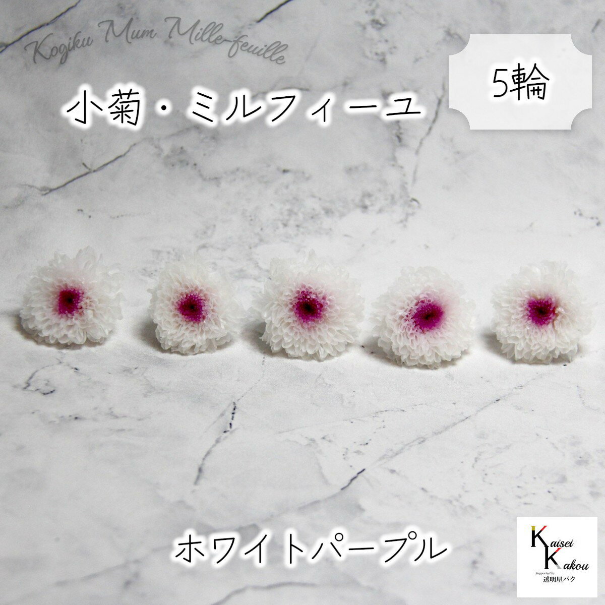 大地農園「小菊ミルフィーユ ホワイトパープル 5輪」プリザーブドフラワー プリザ ハーバリウム 小花 ドライフラワー ハーバリウム アロマワックスバー
