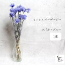 大地農園!プリザーブドフラワー 「ミニシルバーデージー コバルトブルー 1束 」 プリザ ギフト 花材 資材 インテリア ハーバリウム プレゼント 贈り物 お見...
