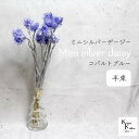 大地農園!プリザーブドフラワー 「ミニシルバーデージー コバルトブルー 半束 」 プリザ ギフト 花材 資材 インテリア ハーバリウム プレゼント 贈り物 お見...