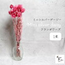 大地農園!プリザーブドフラワー 「ミニシルバーデージー フランボワーズ 1束 」 プリザ ギフト 花材 資材 インテリア ハーバリウム プレゼント 贈り物 お見...