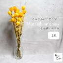 大地農園!プリザーブドフラワー 「ミニシルバーデージー ミモザイエロー 1束 」 プリザ ギフト 花材 資材 インテリア ハーバリウム プレゼント 贈り物 お見...
