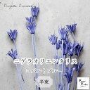 大地農園!プリザーブドフラワー 「ニゲラオリエンタリス コバルトブルー 半束 約15g」プリザ 花材 ハーバリウム おしゃれ かわいい プレゼント 贈り物 オオ...