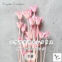 大地農園!プリザーブドフラワー 「ニゲラオリエンタリス プリンセスピンク 半束 約15g」プリザ 花材 ハーバリウム おしゃれ かわいい プレゼント 贈り物 オ...
