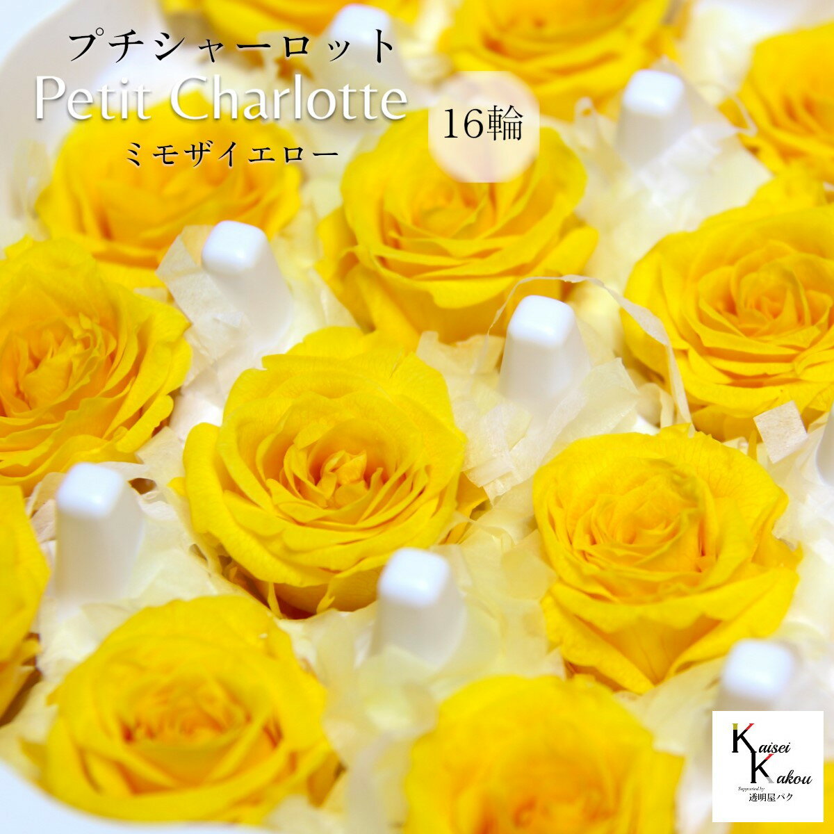 大地農園！プリザーブドフラワー 「プチシャーロット 16輪 ミモザイエロー」プリザ 花材 ハーバリウム ..