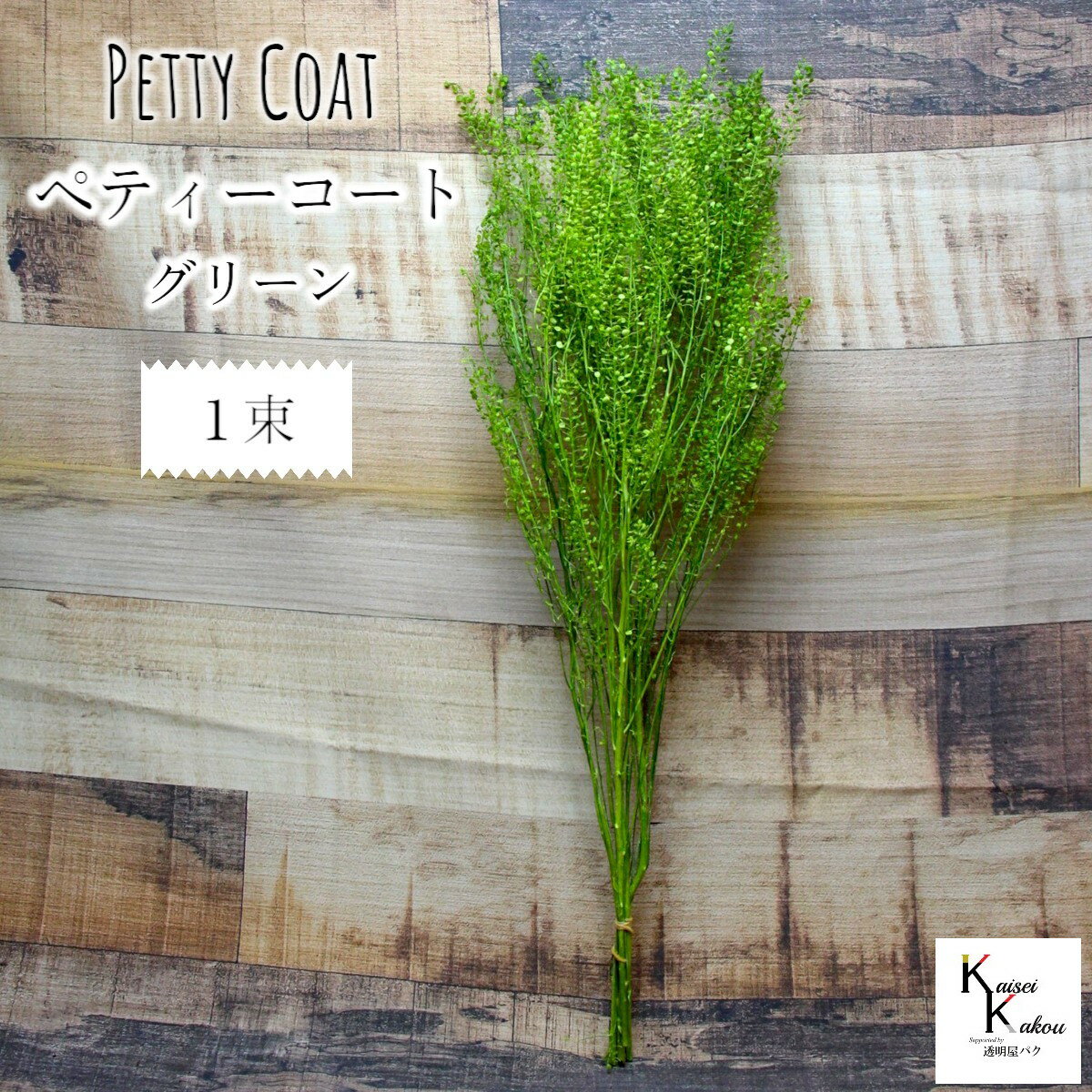 大地農園!プリザーブドフラワー 「ぺティーコート グリーン 1束」プリザ 花材 ハーバリウム おしゃれ かわいい プレゼント 贈り物 オオチノウエン