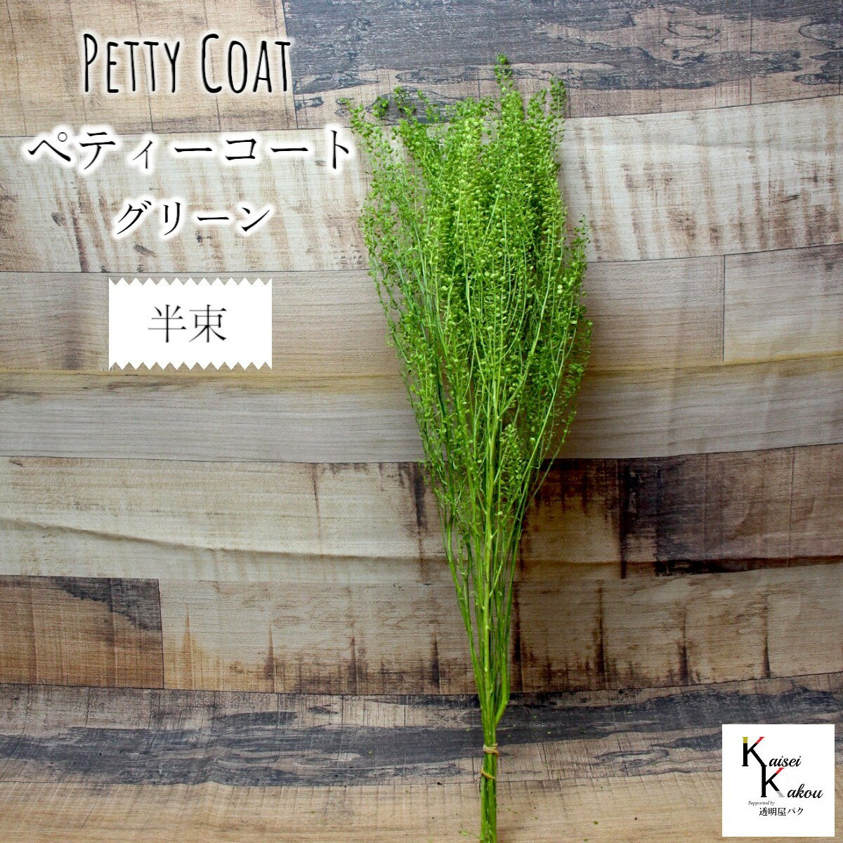 大地農園!プリザーブドフラワー 「ぺティーコート グリーン 半束 約10g」プリザ 花材 ハーバリウム おしゃれ かわいい プレゼント 贈り物 オオチノウエン