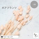 大地農園!プリザーブドフラワー 「ポアプランツ 1束 ベビーピンク」プリザ 花材 ハーバリウム おしゃれ かわいい プレゼント 贈り物 オオチノウエン