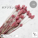 大地農園!プリザーブドフラワー 「ポアプランツ 1束 クラシックピンク」プリザ 花材 ハーバリウム おしゃれ かわいい プレゼント 贈り物 オオチノウエン
