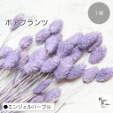 大地農園!プリザーブドフラワー 「ポアプランツ 1束 エンジェルパープル」プリザ 花材 ハーバリウム おしゃれ かわいい プレゼント 贈り物 オオチノウエン