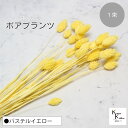 大地農園!プリザーブドフラワー 「ポアプランツ 1束 パステルイエロー」プリザ 花材 ハーバリウム おしゃれ かわいい プレゼント 贈り物 オオチノウエン(4)