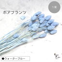大地農園!プリザーブドフラワー 「ポアプランツ 1束 ウォーターブルー」プリザ 花材 ハーバリウム おしゃれ かわいい プレゼント 贈り物 オオチノウエン