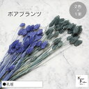 大地農園!プリザーブドフラワー 「ポアプランツ 孔雀 (ネイビー、ターコイズグリーン) 1束ずつ2色 」プリザ 花材 ハーバリウム おしゃれ かわいい プレゼン...
