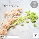 大地農園!プリザーブドフラワー 「ポアプランツ さくら (マスカットグリーン、ベビーピンク) 1束ずつ2色 」プリザ 花材 ハーバリウム おしゃれ かわいい プ...