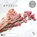 大地農園!プリザーブドフラワー 「ポアプランツ 薄紅 (クラウドピンク、クラシックピンク) 1束ずつ2色 」プリザ 花材 ハーバリウム おしゃれ かわいい プレ...