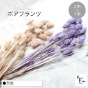 大地農園!プリザーブドフラワー 「ポアプランツ 天使 (エンジェルパープル、ピンクベージュ) 1束ずつ2色 」プリザ 花材 ハーバリウム おしゃれ かわいい プ...