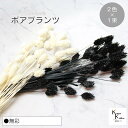 大地農園!プリザーブドフラワー 「ポアプランツ 無彩 (黒、白) 1束ずつ2色 」プリザ 花材 ハーバリウム おしゃれ かわいい プレゼント 贈り物 オオチノウ...