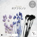 大地農園!プリザーブドフラワー 「ポアプランツ ミスティック (エンジェルパープル、ネイビー、黒) 半束ずつ3色」プリザ 花材 ハーバリウム おしゃれ かわいい...