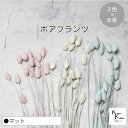 大地農園!プリザーブドフラワー 「ポアプランツ マット (マットホワイト、マットピンク、マットブルー) 半束ずつ3色」プリザ 花材 ハーバリウム おしゃれ かわ...
