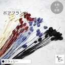 大地農園!プリザーブドフラワー 「ポアプランツ クラッシー (クラシックローズ、黒、白、ネイビー) 半束ずつ4色」プリザ 花材 ハーバリウム おしゃれ かわいい プレゼント 贈り物 オオチノウエン(4)