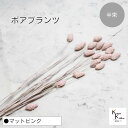 大地農園!プリザーブドフラワー 「ポアプランツ 半束 マットピンク」プリザ 花材 ハーバリウム おしゃれ かわいい プレゼント 贈り物 オオチノウエン