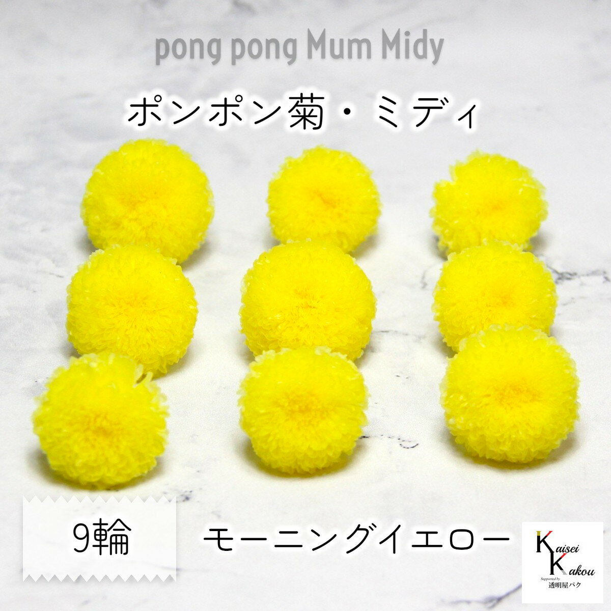 大地農園！ プリザーブドフラワー 「ポンポン菊・ミディ モーニングイエロー 9輪」プリザ ドライフラワ..