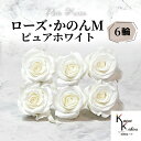 大地農園 「ローズかのんM ピュアホワイト 6輪」 プリザーブドフラワー バラ プリザ 花材 ハーバリウム おしゃれ かわいい プレゼント 贈り物 オオチノウエ...