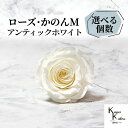 大地農園 「ローズかのんM アンティックホワイト 選べる個数」 プリザーブドフラワー バラ プリザ 花材 ハーバリウム おしゃれ かわいい プレゼント 贈り物 ...