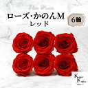 大地農園 「ローズかのんM レッド 6輪」 プリザーブドフラワー バラ プリザ 花材 ハーバリウム おしゃれ かわいい プレゼント 贈り物 オオチノウエン