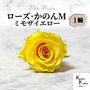大地農園 「ローズかのんM ミモザイエロー 1輪」 プリザーブドフラワー バラ プリザ 花材 ハーバリウム おしゃれ かわいい プレゼント 贈り物 オオチノウエ...