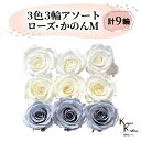 大地農園 「ローズかのんM 3色×3輪アソート 計9輪」 「ピュアホワイト アンティックホワイト ダスティーブルー」 プリザーブドフラワー バラ プリザ 花材 ...