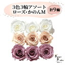 大地農園 「ローズかのんM 3色×3輪アソート 計9輪」 「ピュアホワイト シャンパンピンク グレイッシュパープル」 プリザーブドフラワー バラ プリザ 花材 ...