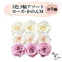 大地農園 「ローズかのんM 3色×3輪アソート 計9輪」 「アンティックホワイト ホワイトシャンパン クリスタルピンク」 プリザーブドフラワー バラ プリザ 花...