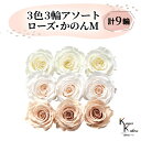 大地農園 「ローズかのんM 3色×3輪アソート 計9輪」 「アンティックホワイト ホワイトシャンパン シャンパンピンク」 プリザーブドフラワー バラ プリザ 花...