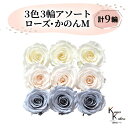 大地農園 「ローズかのんM 3色×3輪アソート 計9輪」 「アンティックホワイト ホワイトシャンパン ダスティーブルー」 プリザーブドフラワー バラ プリザ 花...