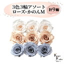 大地農園 「ローズかのんM 3色×3輪アソート 計9輪」 「ホワイトシャンパン シャンパンピンク ダスティーブルー」 プリザーブドフラワー バラ プリザ 花材 ...
