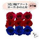 大地農園 「ローズかのんM 3色×3輪アソート 計9輪」 「ディープルビー クイーンレッド インディゴブルー」 プリザーブドフラワー バラ プリザ 花材 ハーバ...