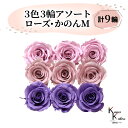 大地農園 「ローズかのんM 3色×3輪アソート 計9輪」 「クリスタルピンク ミスティローズ ラベンダー」 プリザーブドフラワー バラ プリザ 花材 ハーバリウム おしゃれ かわいい プレゼント 贈り物 オオチノウエン