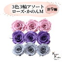 大地農園 「ローズかのんM 3色×3輪アソート 計9輪」 「クリスタルピンク ラベンダー ダスティーブルー」 プリザーブドフラワー バラ プリザ 花材 ハーバリウム おしゃれ かわいい プレゼント 贈り物 オオチノウエン