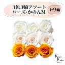 大地農園 「ローズかのんM 3色×3輪アソート 計9輪」 「ピュアホワイト ホワイトシャンパン フルーティオレンジ」 プリザーブドフラワー バラ プリザ 花材 ...
