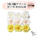 大地農園 「ローズかのんM 3色×3輪アソート 計9輪」 「ピュアホワイト ホワイトシャンパン モーニングイエロー」 プリザーブドフラワー バラ プリザ 花材 ハーバリウム おしゃれ かわいい プレゼント 贈り物 オオチノウエン