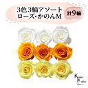 大地農園 「ローズかのんM 3色×3輪アソート 計9輪」 「ピュアホワイト フルーティオレンジ モーニングイエロー」 プリザーブドフラワー バラ プリザ 花材 ハーバリウム おしゃれ かわいい プレゼント 贈り物 オオチノウエン