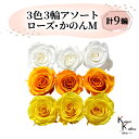大地農園 「ローズかのんM 3色×3輪アソート 計9輪」 「ピュアホワイト フルーティオレンジ ミモザイエロー」 プリザーブドフラワー バラ プリザ 花材 ハーバリウム おしゃれ かわいい プレゼント 贈り物 オオチノウエン