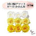 大地農園 「ローズかのんM 3色×3輪アソート 計9輪」 「ピュアホワイト モーニングイエロー ミモザイエロー」 プリザーブドフラワー バラ プリザ 花材 ハーバリウム おしゃれ かわいい プレゼント 贈り物 オオチノウエン